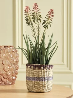 Bloempot JONATAN Ø15xH15 cm naturel