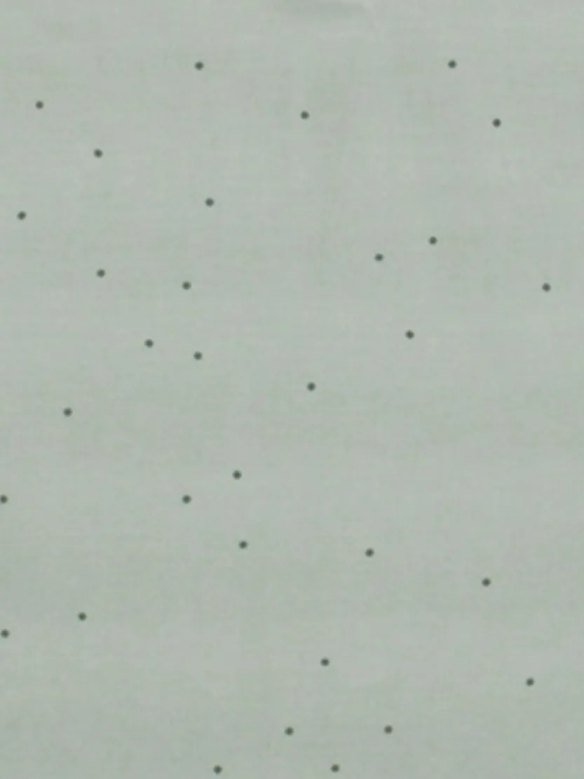 Dekbedovertrek MARY 140x200 lichtgroen