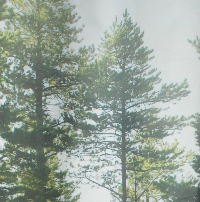 Douchegordijn AVESTA 150x200 fotoprint