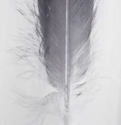 Douchegordijn TOTRA 150x200 zwart/wit