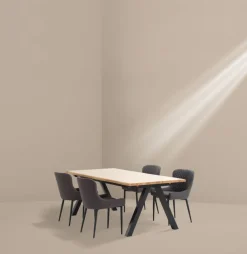 Eetkamerstoel PEBRINGE grijs/zwart