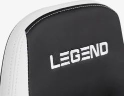 Gamestoel LERBJERG zwart/wit kunstleer