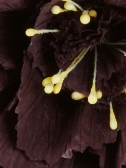 Kunstbloem PER H40cm paars