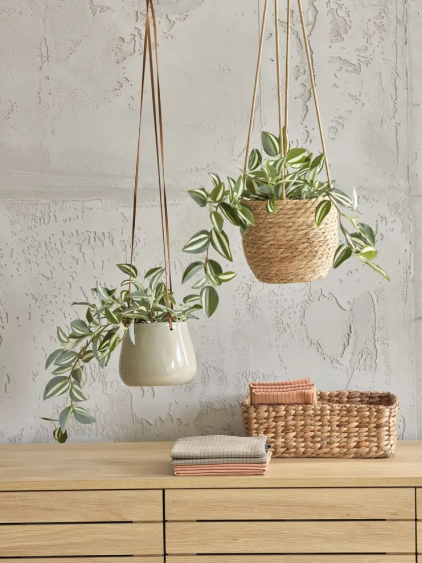 Kunstplant ASGAR H24cm groen