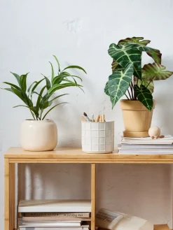 Kunstplant MARIUS Ø38xH42 cm