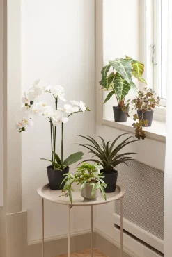 Kunstplant MATINUS H62 cm met bloemen