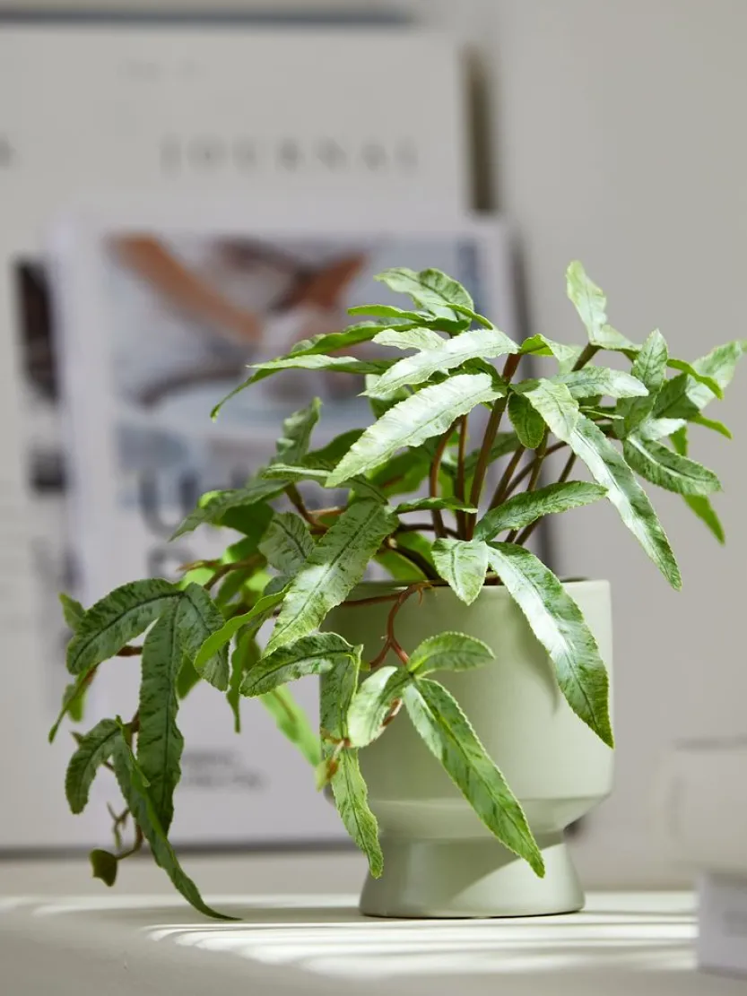 Kunstplant OLSEN Ø9xH20cm met pot