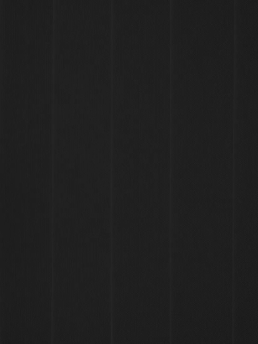 Lamellen ROGEN 100x250 zwart