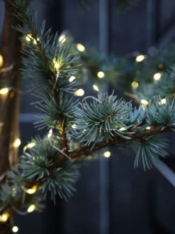 LED lichtsnoer ANTIGORIT L790cm 80LED en timer