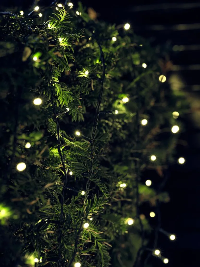 LED lichtsnoer ELDE L4995cm 1000LED en timer