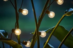 LED lichtsnoer GULIRISK 20LED transparant