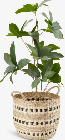 Mand VIGIL Ø32xH27cm zeegras