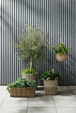 Plantenbak SANSEBIE Ø50/40 kubu naturel 2 stuks