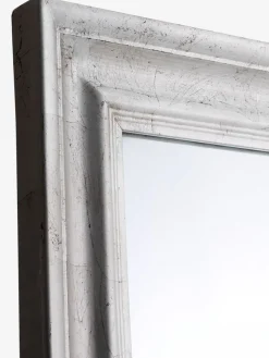 Spiegel SKOTTERUP 78x180 zilver kleur