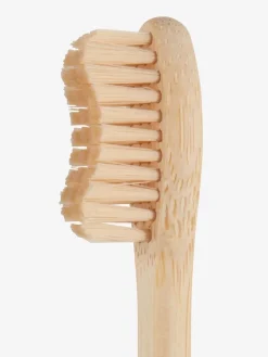 Tandenborstel VIDJA Schima Wallichi