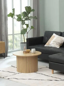 TV-meubel HEMDRUP 2 deuren eiken kleur