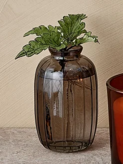 Vaas ROAR Ø7xH12cm grijs