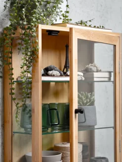 Wandkast RIBE 1 glazen deur naturel